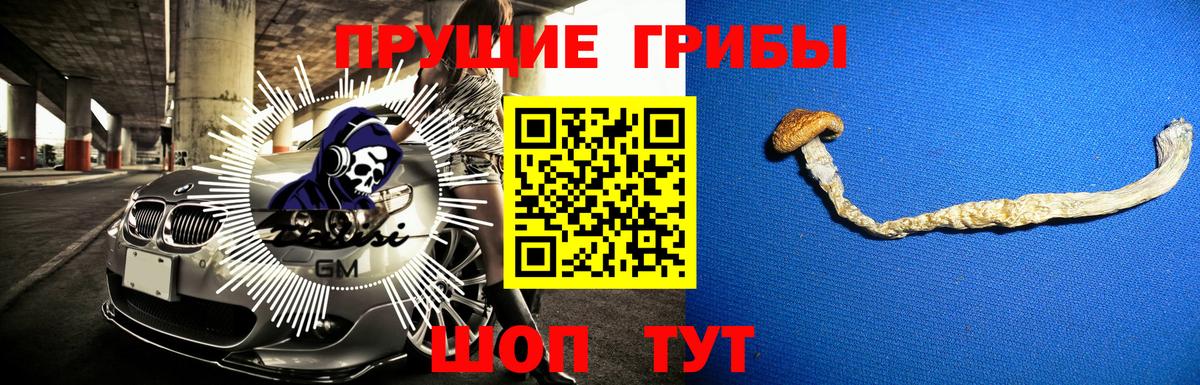 Галлюциногенные грибы прущие грибы  Галлюциногенные грибы Psilocybe  Ипатово  Вход с VPN 